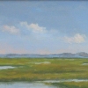 Tidal Marsh 2