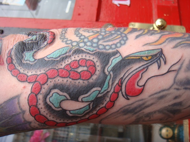 Chris David's Snake elbow