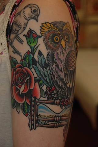 alyssa's owl2