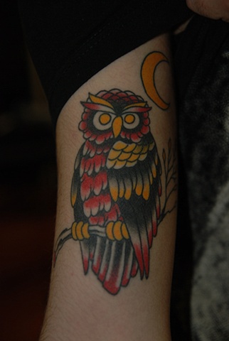 owl