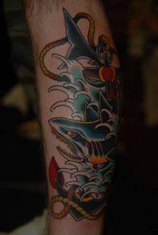 shark/anchor 2