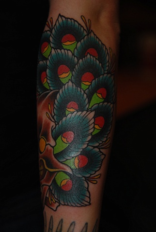 skull and peacock feathers
