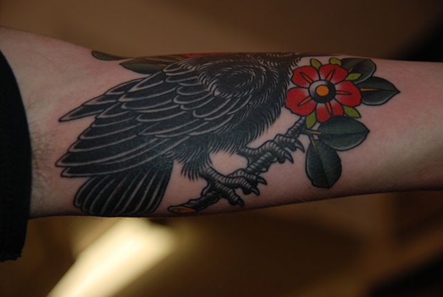 crow2