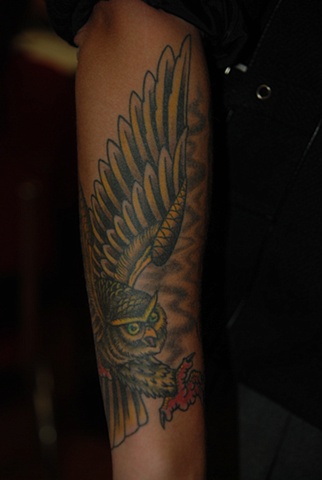 owl