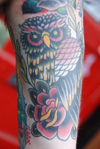 owl