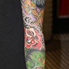 Owl Sleeve
