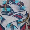 Shark Anchor