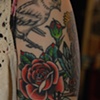 alyssa's owl