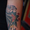 bowler eagle