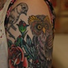 alyssa's owl2