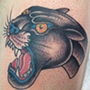 Panther