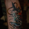 shark/anchor 2