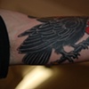 crow2