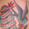 Anchor Swallow