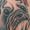 Bulldog tattoo