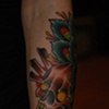 skull and peacock feathers 2