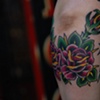 roses2
