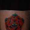 tudor rose