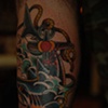 shark/anchor
