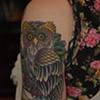 alyssa's owl3