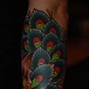 skull and peacock feathers