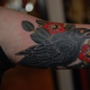 crow