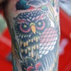 owl