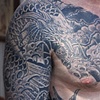 Koi Dragon