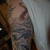 shark/octopus