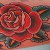 Rose Tattoo