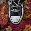 THE SNEAKERS