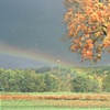 franklin raimbow
