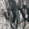black and white (detail)