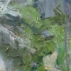 untitled (back of head)