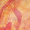 red and orange phase