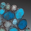 Blue Samuri