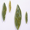Pods