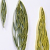 Pods
