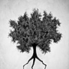 Gangsta Trees Dont Die, They Just Learn to Fly
