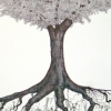 O.G. Tree
