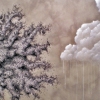 Tree Series: SilverK