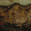 Adamic Earth