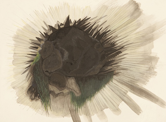 Spike-Flower-Explosion