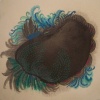 Sea Sloth