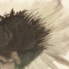 Spike-Flower-Explosion