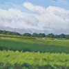Ruralitry 12