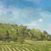 Near Cobden (strawberry patch)