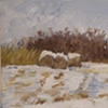 Winter (Tabor)