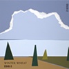 Winter Wheat