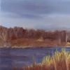 Lake Shelbyville